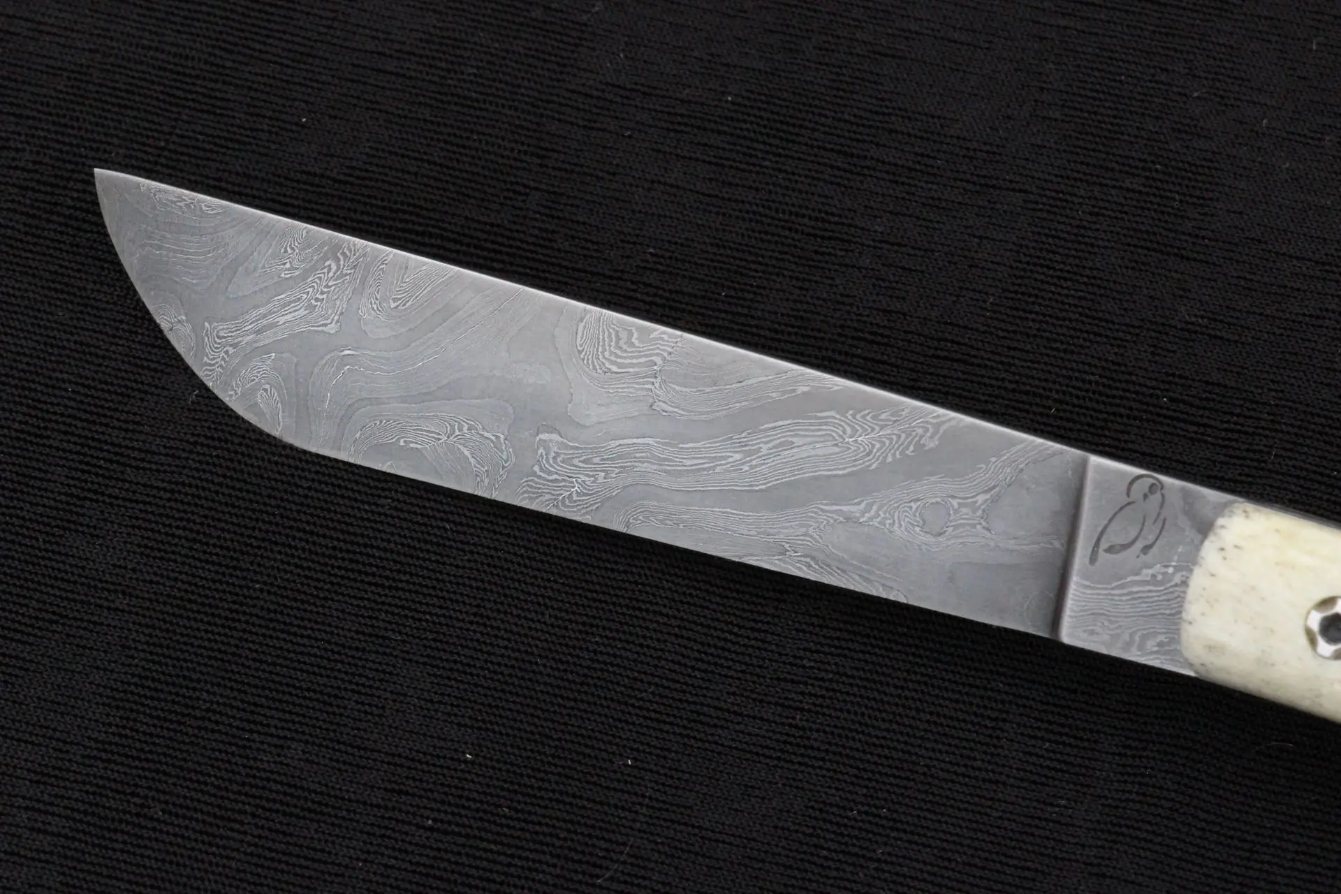 N°1 lame damssée Charlie Maridet